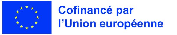 Logo FSE+